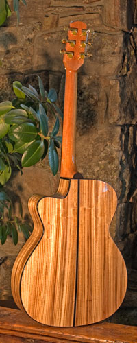 Back view of guitar.