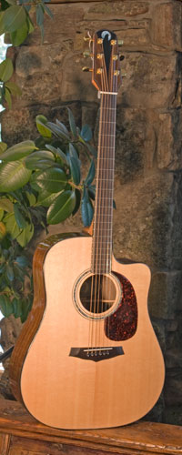 Front view of guitar.