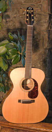 Front view of guitar.