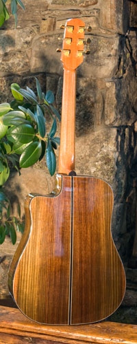 Back view of guitar.