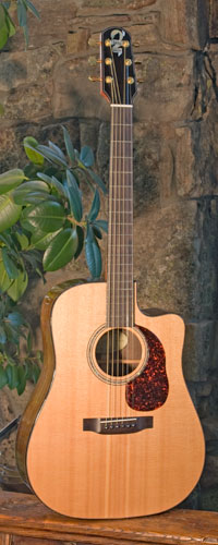 Front view of guitar.