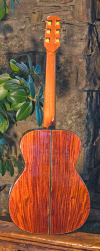 Back view of guitar.