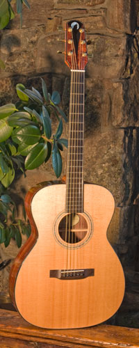 Front view of guitar.