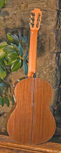 Back view of guitar.