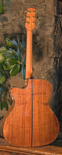 Back view of guitar.