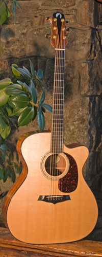 Front view of guitar.