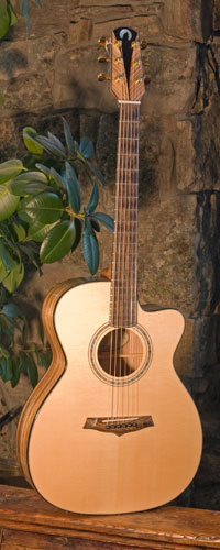 Front view of guitar.