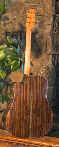 Back view of guitar.