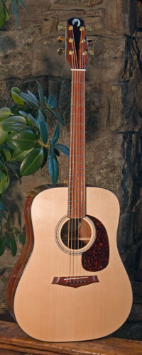 Front view of guitar.