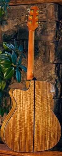Back view of guitar.