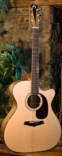 Front view of guitar.