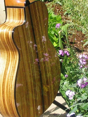 Image of guitar with Zebrawood Back