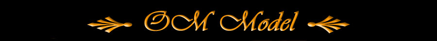 OM Model Page Title