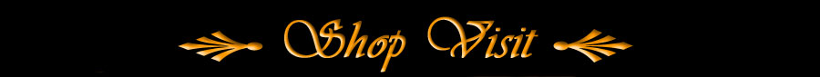 Shop Visit Page Title